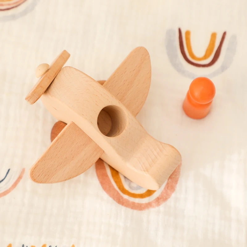 Wooden Push Airplane